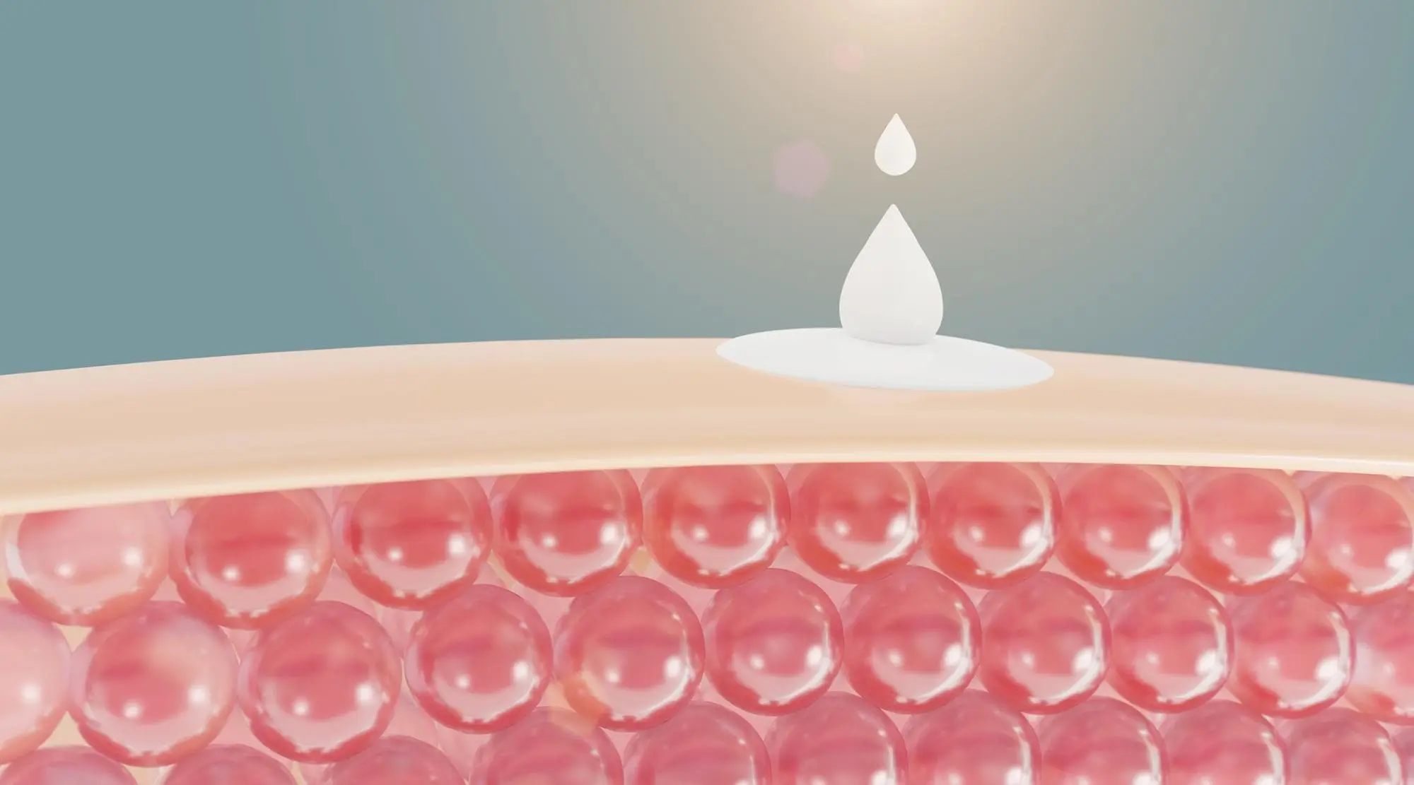 skin barrier function