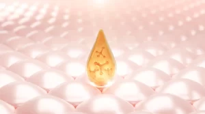 what is skin barrier: a guide