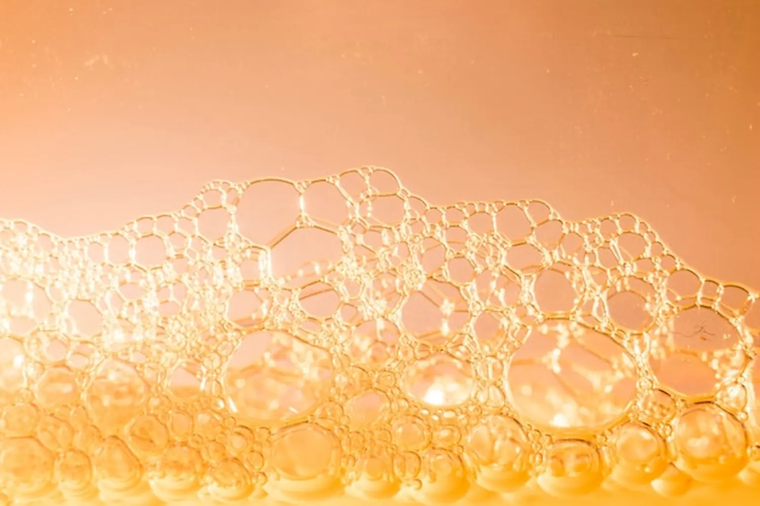 skincare ingredients for hydration: Atelocollagen