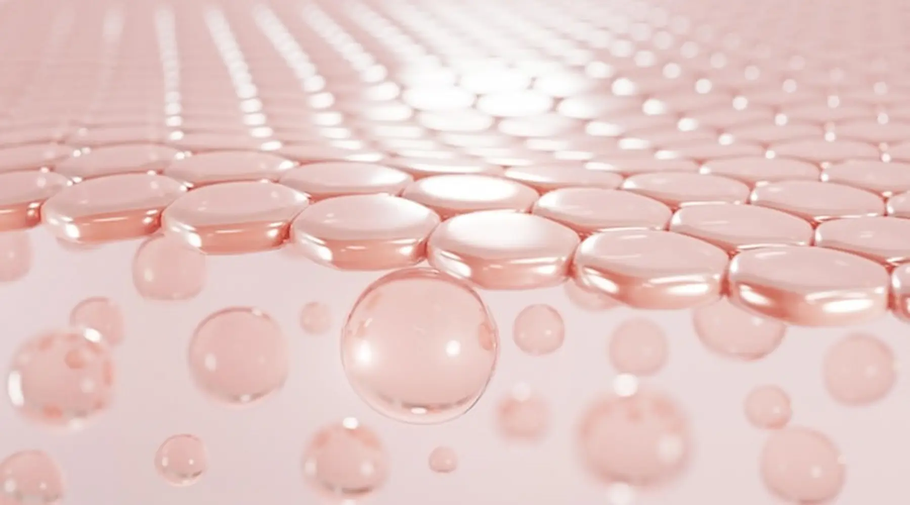 skincare ingredients for hydration: ceramides