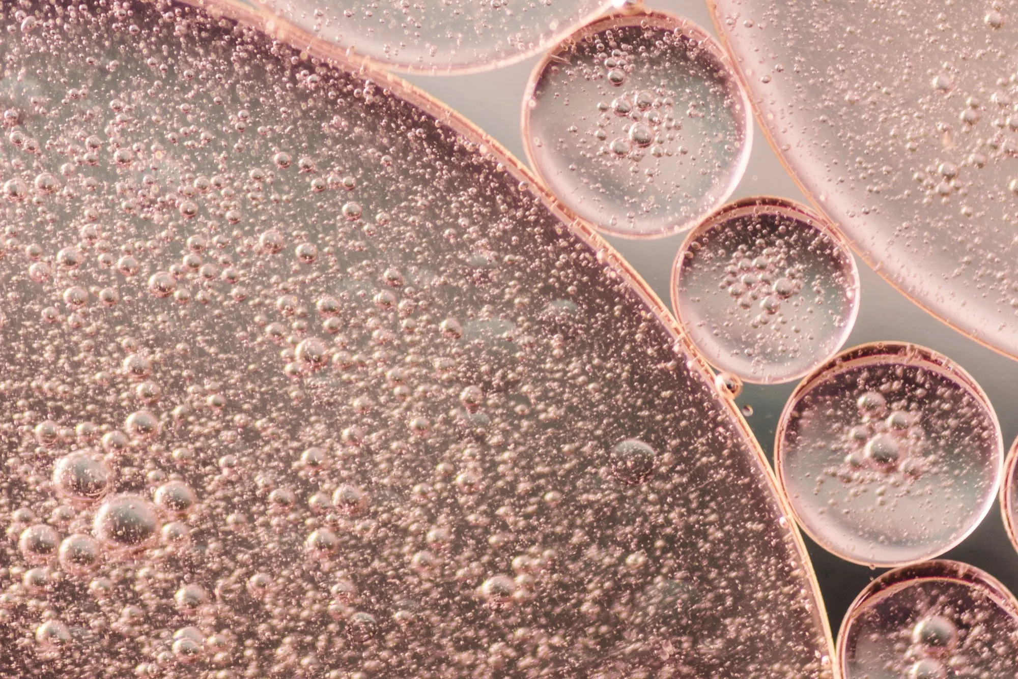 functions of skin microbiome health