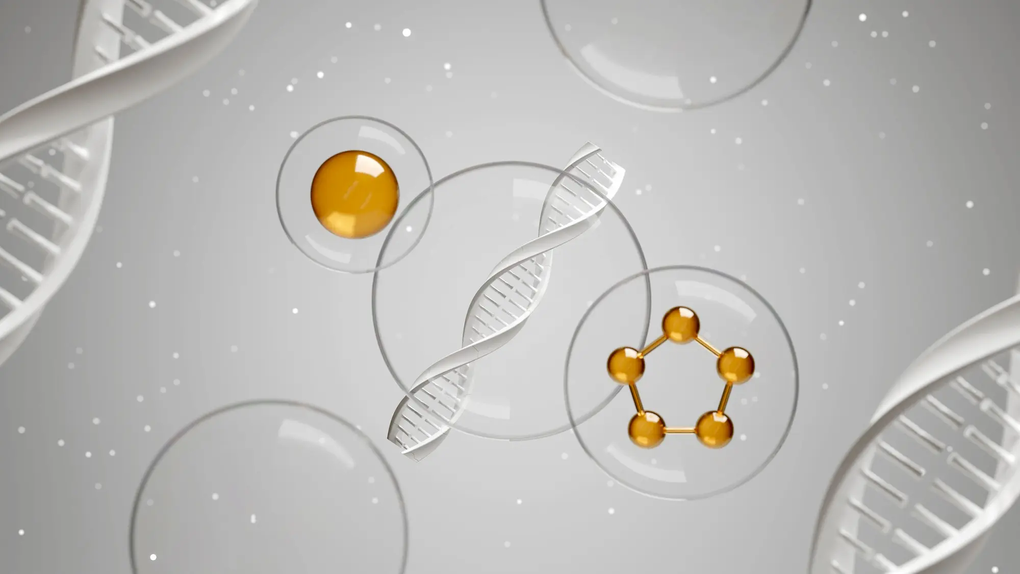 what are peptides skincare explanation