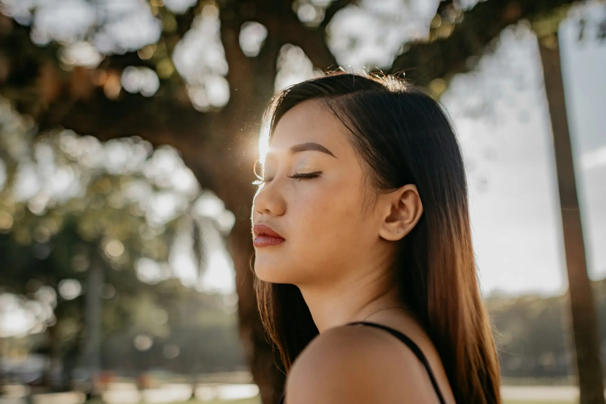 what ceramides do for skin barrier function